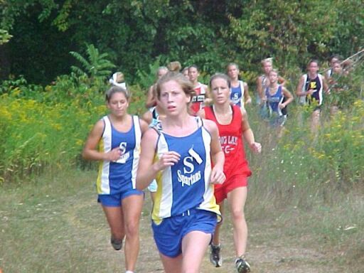 03si-c-smaller.jpg (46141 bytes)