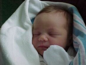 taylor1smaller.jpg (9275 bytes)